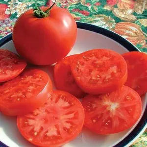 Slicer Tomatoes