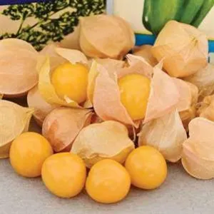 Ground Cherries
