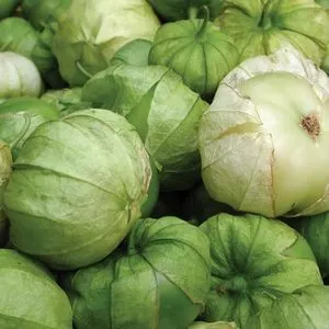 Tomatillos