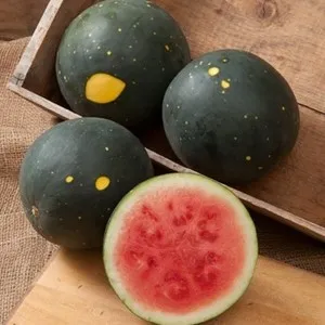 Watermelons