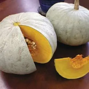 Winter Squash