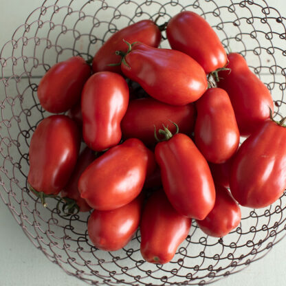 Tomato, Roma, San Marzano Gigante