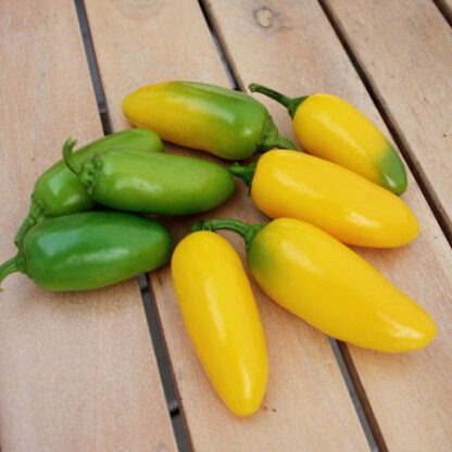 Pepper, Hot, Lemon Spice