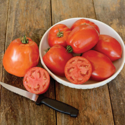 Tomato, Roma, Oregon Star