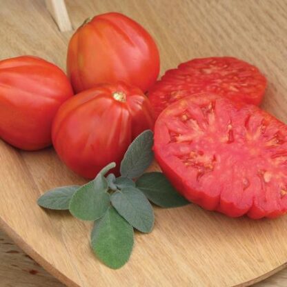 Tomato, Roma, Cuore di Bue