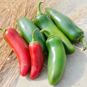 Pepper, Hot, La Bomba II