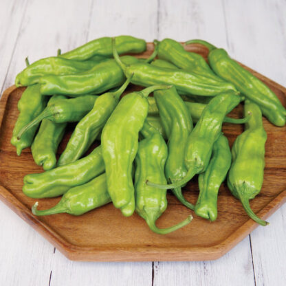 Pepper, Hot, Takara