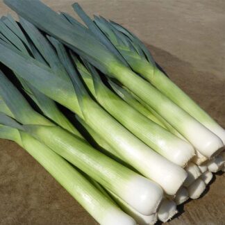 Leeks, Batter