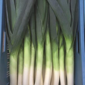 Leeks, Defender